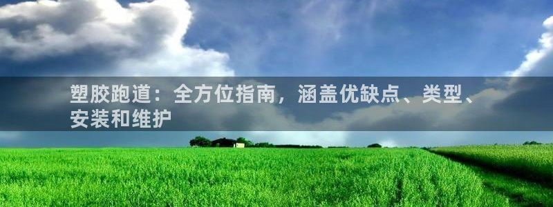 谈球吧官网在线入口手机版下载安装：塑胶跑道：全方位指南，涵盖优缺点、类型、
安装和维护