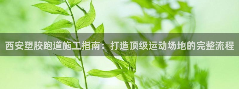 谈球吧app赛事分析在哪里看：西安塑胶跑道施工指南：打造顶级运动场地的完整流程