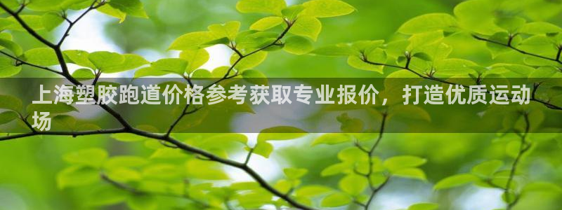 谈球吧登录：上海塑胶跑道价格参考获取专业报价，打造优质运动
场