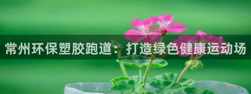 谈球吧体育app下载官网苹果：常州环保塑胶跑道：打造