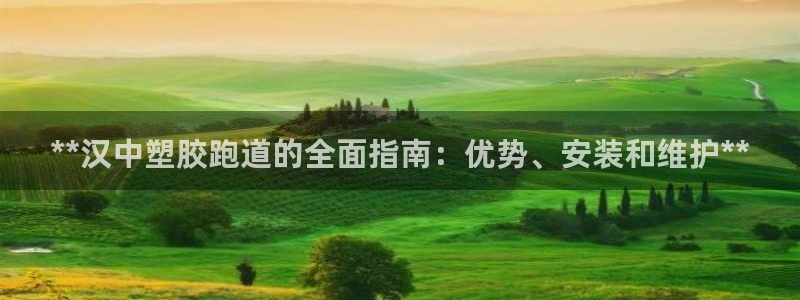 谈球吧app赛事分析报告：**汉中塑胶跑道的全面指南：优势、安装和维护**