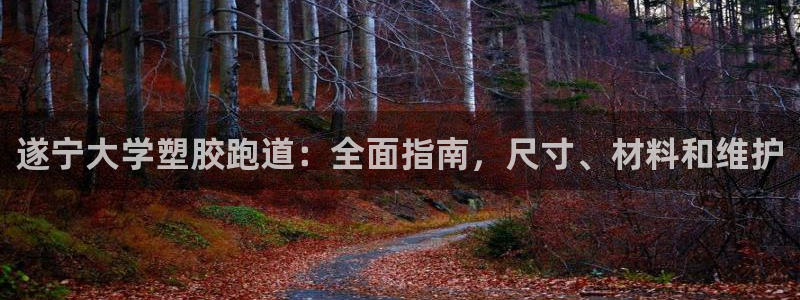 谈球吧平台app下载网址：遂宁大学塑胶跑道：全面指南，尺寸、材料和维护