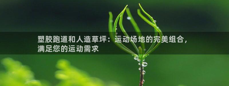 谈球吧是黑台子吗是真的吗：塑胶跑道和人造草坪：运动场