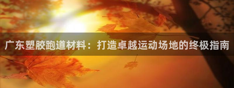 谈球吧体育官方入口：广东塑胶跑道材料：打造卓越运动场