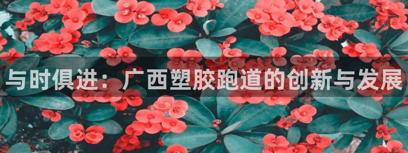 谈球吧官网下载：与时俱进：广西塑胶跑道的创新与发展